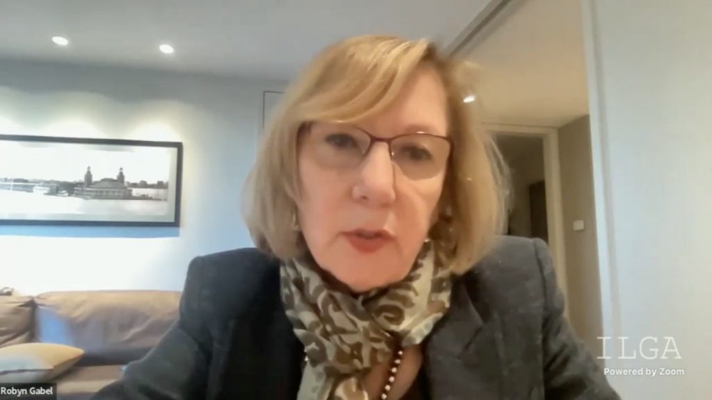 Rep. Robyn Gabel, D-Evanston, introduces another proposal in support of the EV industry during a virtual meeting Tuesday of the House Energy and Environment Committee. (Credit: blueroomstream.com)
