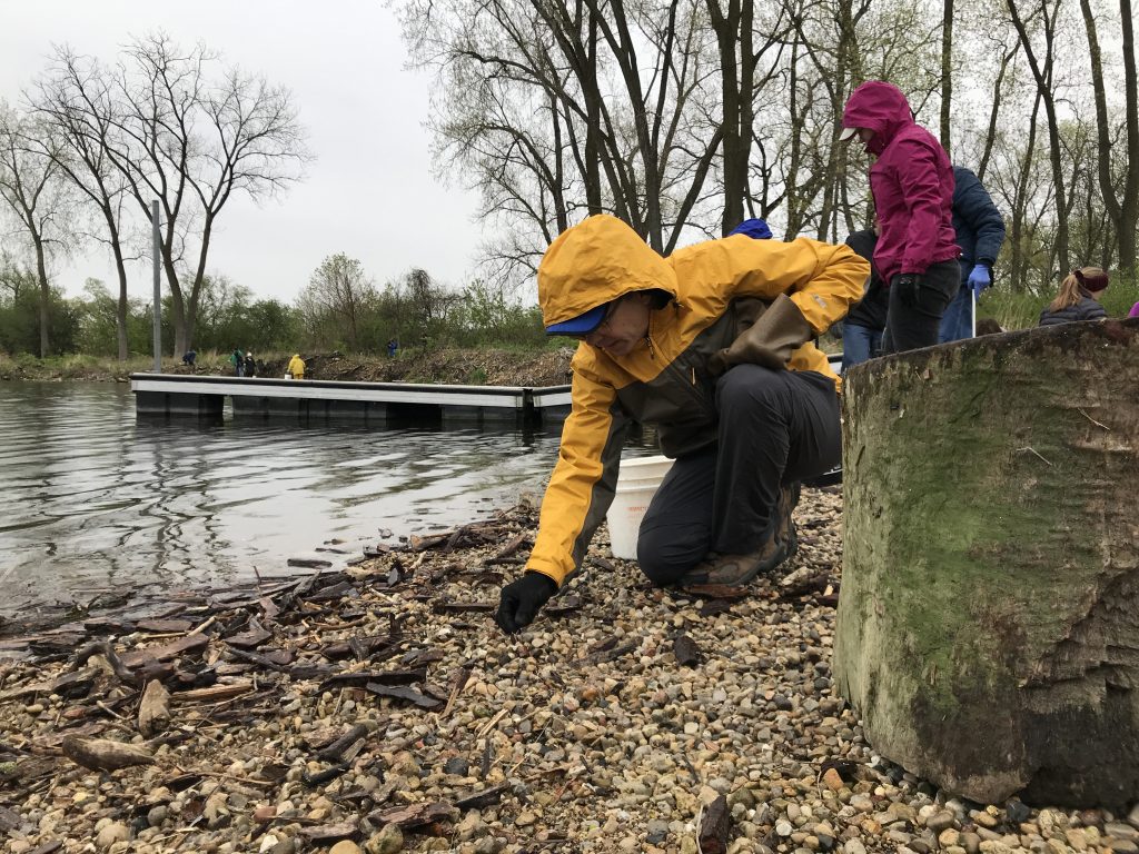 Volunteers remove plastic garbage from the shoreline at Rock Run Rookery in Joliet during a past Earth Day clean-up effort. This year’s Shoreline Cleanup is set for April 23. Sign up online at ReconnectWithNature.org. –Photo by Forest Preserve staff Chad Merda.