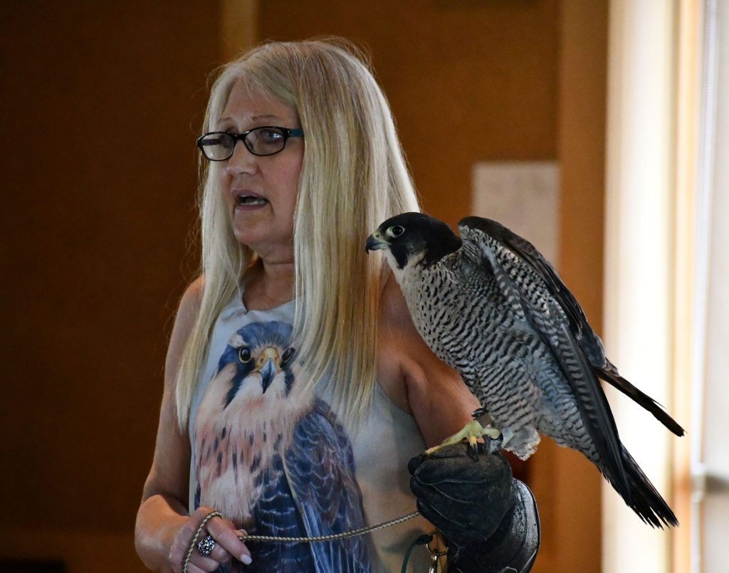Dianne Moller, founder of Hoo’s Woods Raptor Center, will present live birds of prey during the Migration Celebration at Four Rivers Environmental Education Center in Channahon on Saturday, May 13. –Photo by Forest Preserve staff Anthony Schalk.