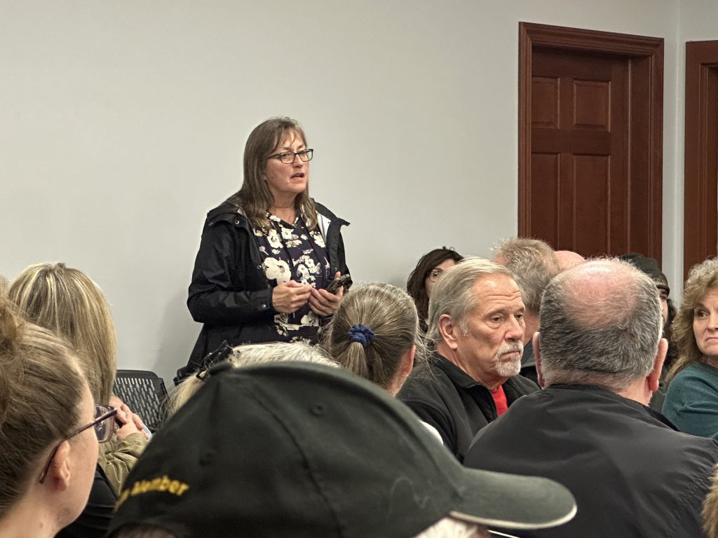 County Board Member Judy Ogalla spoke at a town hall addressing the possibility of an alternative to the airport. Photo by Andrea Arens.