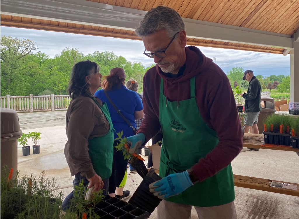 Order plants in April for pick-up and planting in May, via The Nature Foundation of Will County’s Bringing Nature Home Native Plant Sale, which runs online from April 6-27 at willcountynature.org. –Photo by Forest Preserve staff.